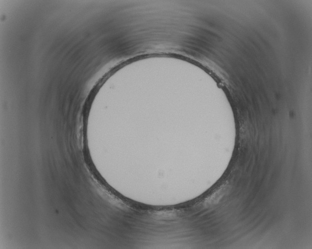 X0000077281126200611101311