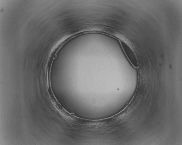 X0000077281127200611101311