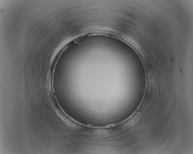 X0000077281128200611101311