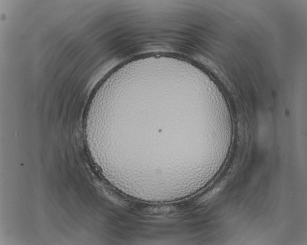 X0000077281129200611101311