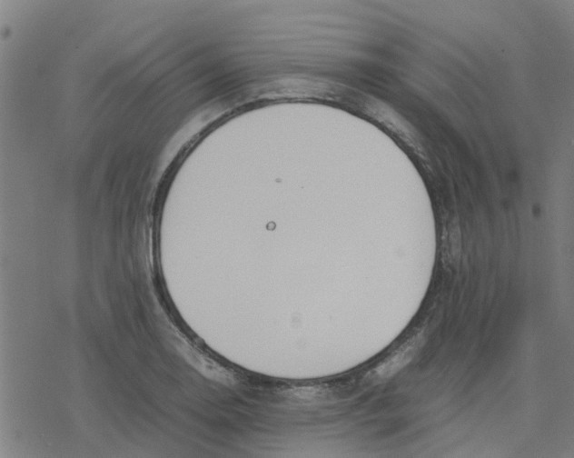 X0000077281130200611101311