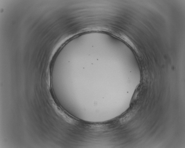 X0000077281132200611101311