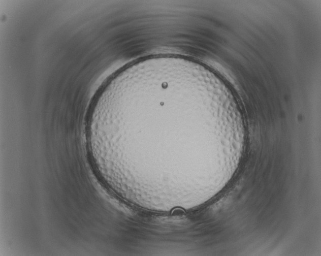 X0000077281133200611101311