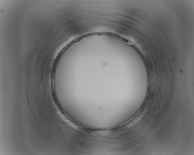 X0000077281134200611101311