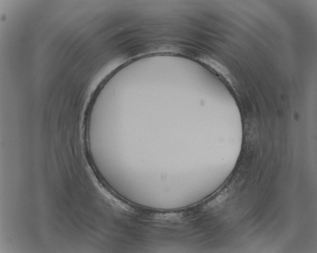 X0000077281135200611101311