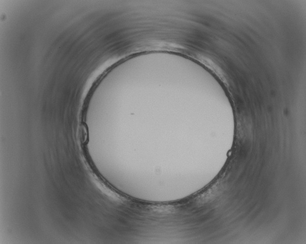 X0000077281136200611101311