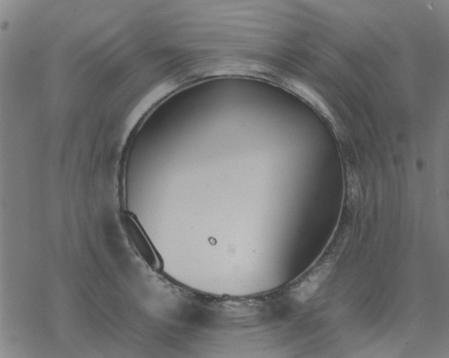 X0000077281138200611101311