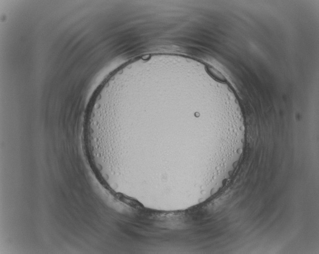 X0000077281139200611101311