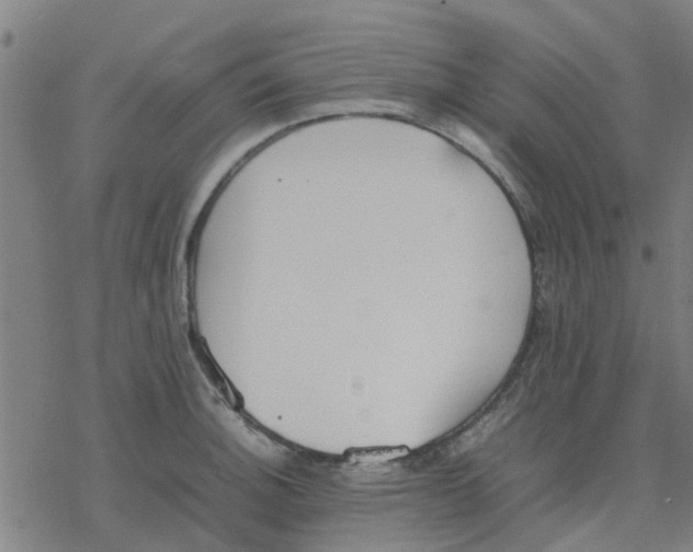 X0000077281140200611101311