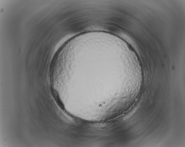 X0000077281141200611101311