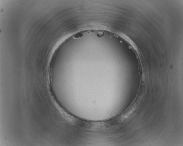 X0000077281144200611101311