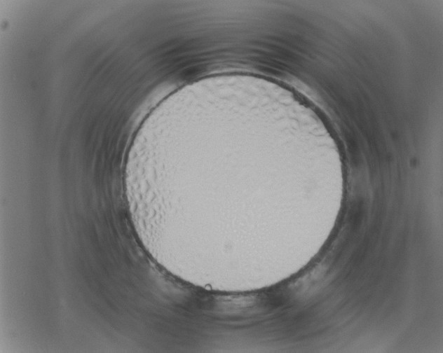 X0000077281145200611101311