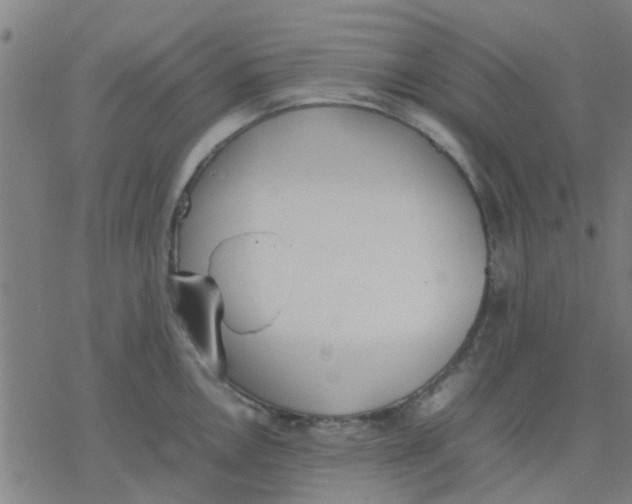 X0000077281146200611101311