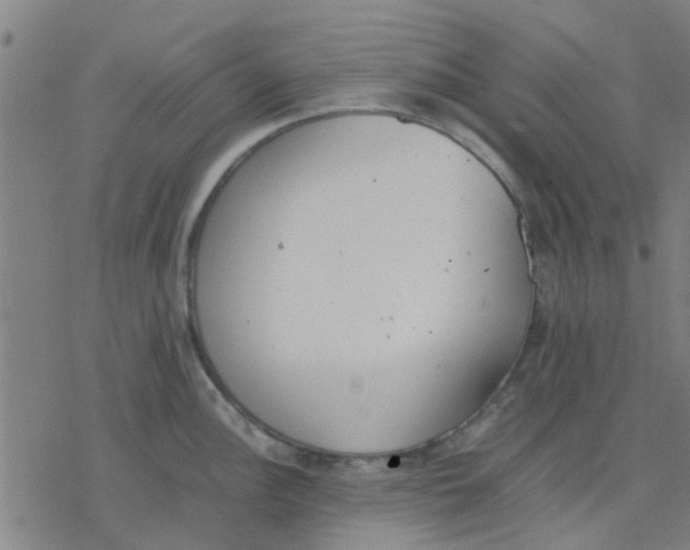 X0000077281148200611101311