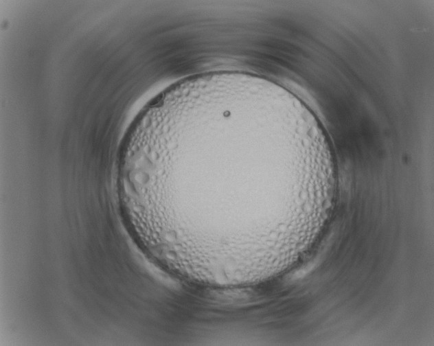 X0000077281149200611101311