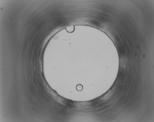 X0000077281150200611101311