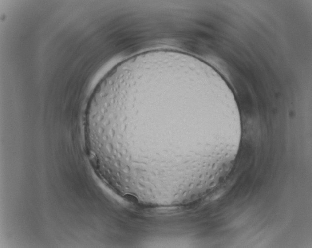 X0000077281151200611101311