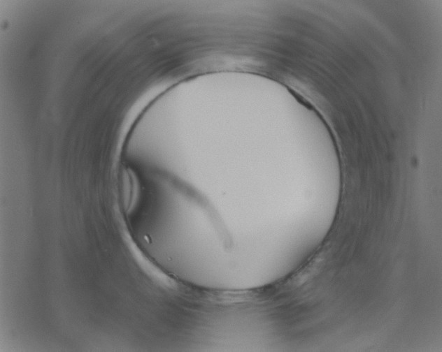 X0000077281152200611101311