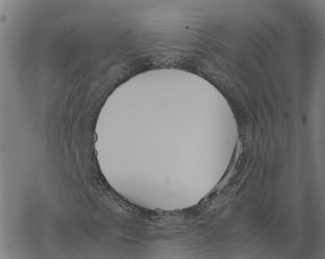 X0000077281153200611101311