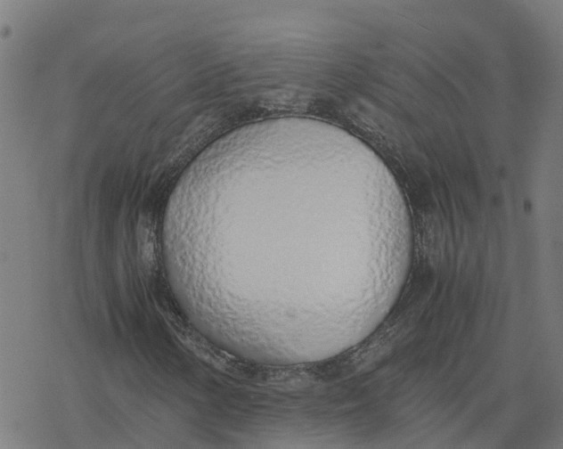 X0000077281154200611101311