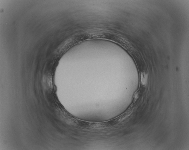 X0000077281155200611101311