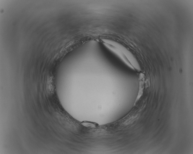 X0000077281156200611101310