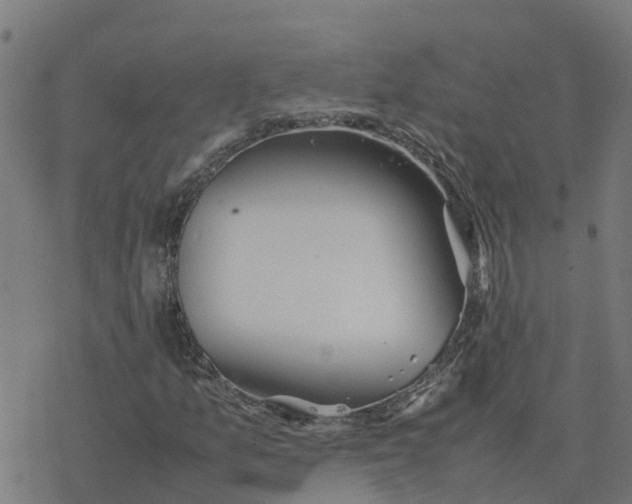 X0000077281157200611101310