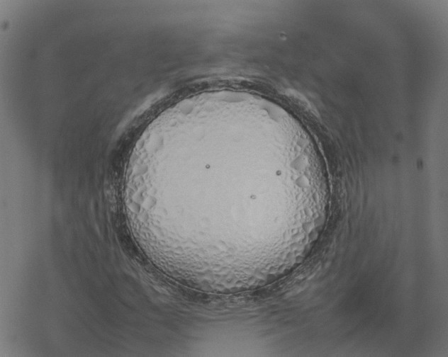 X0000077281159200611101310