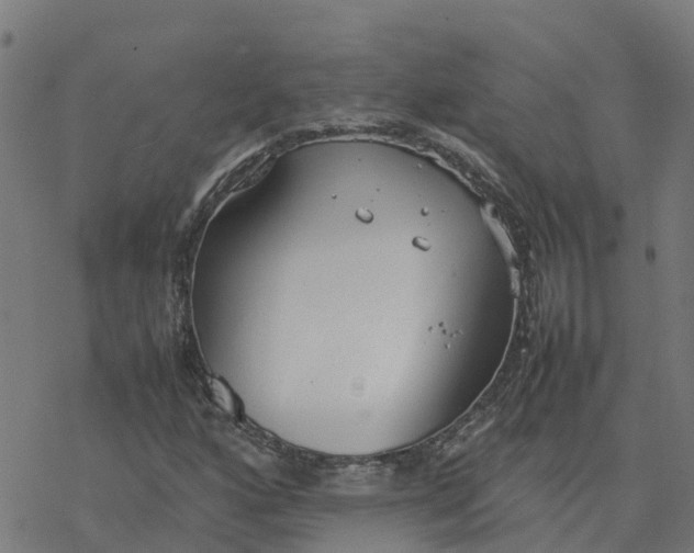 X0000077281160200611101310