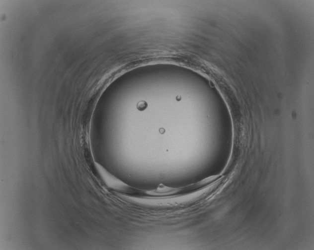 X0000077281161200611101310