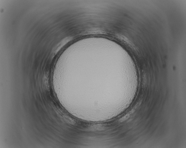 X0000077281162200611101310