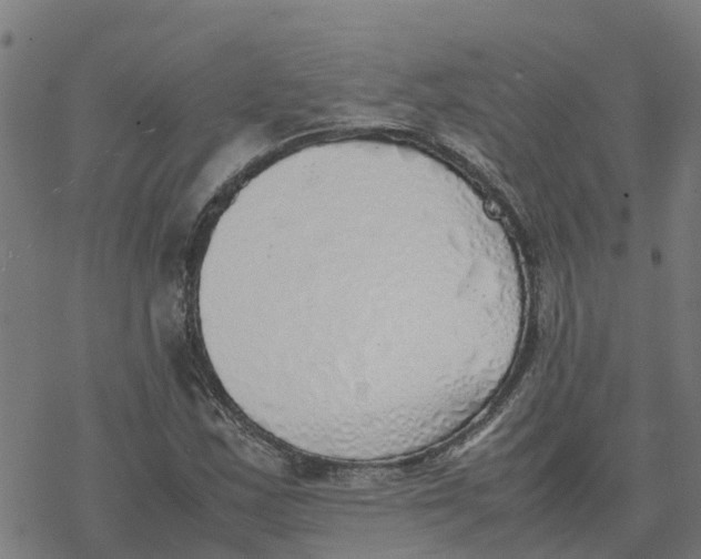 X0000077281163200611101310