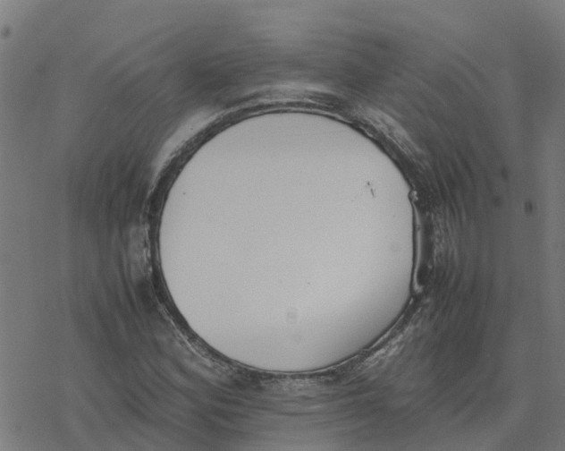 X0000077281164200611101310