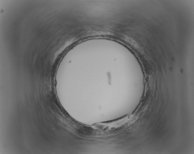 X0000077281165200611101310