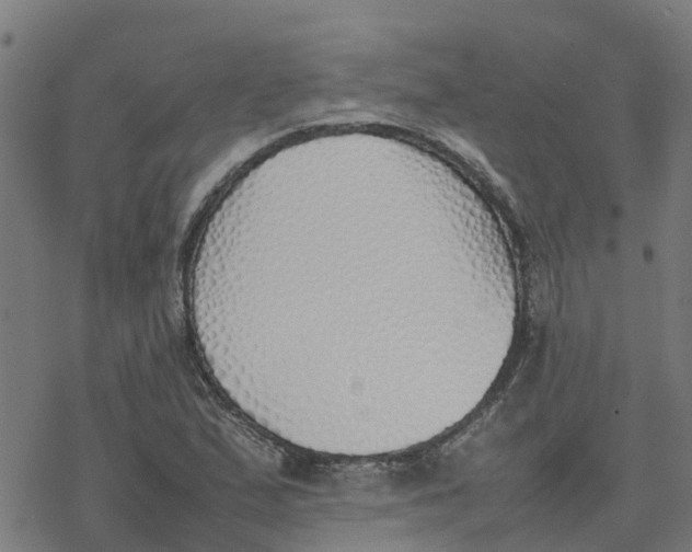 X0000077281167200611101310