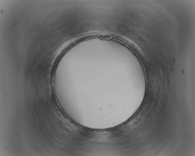 X0000077281168200611101310