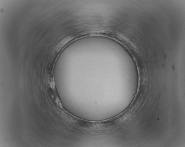 X0000077281169200611101310