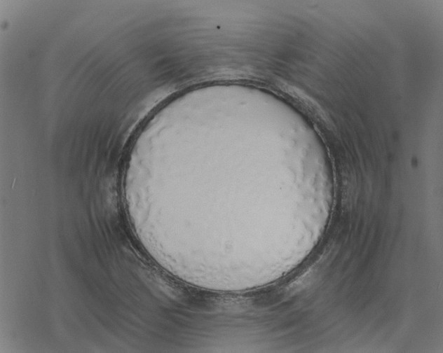 X0000077281170200611101310