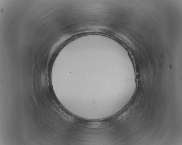 X0000077281172200611101310