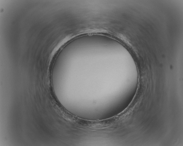 X0000077281173200611101310