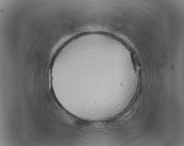 X0000077281175200611101310