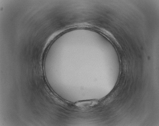 X0000077281176200611101310