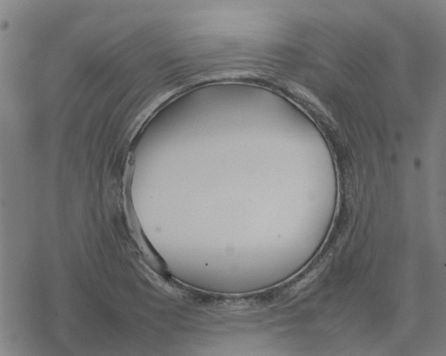 X0000077281177200611101310