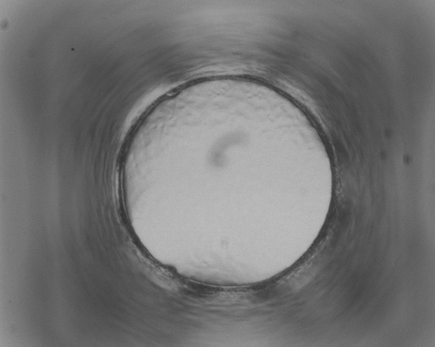 X0000077281179200611101310