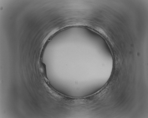 X0000077281181200611101310