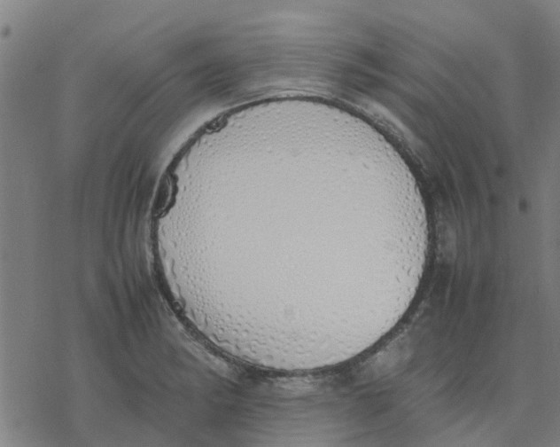 X0000077281182200611101310