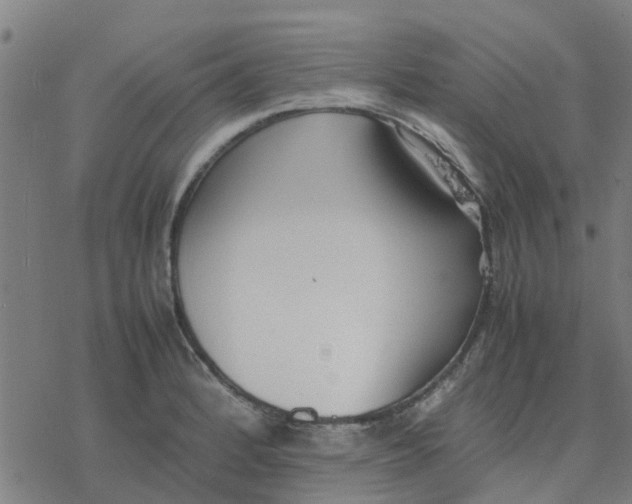 X0000077281184200611101310