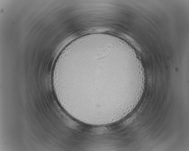 X0000077281186200611101310