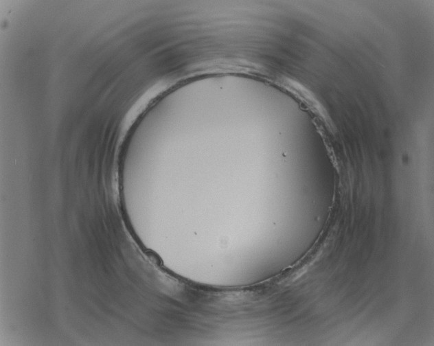 X0000077281188200611101310