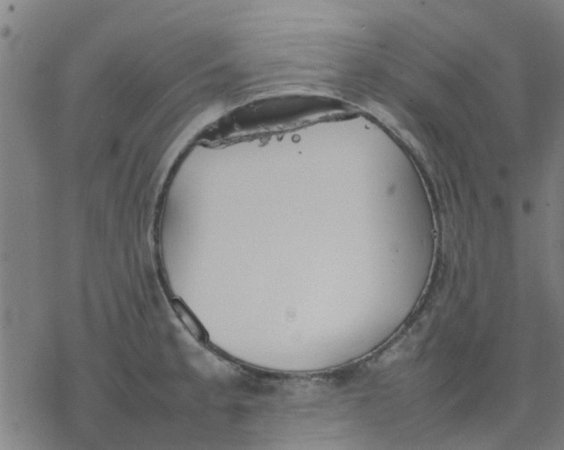 X0000077281189200611101310